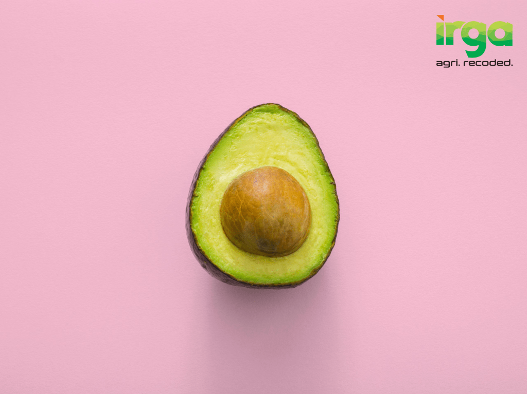 thought-catalog-9aOswReDKPo-unsplash-scaled_1